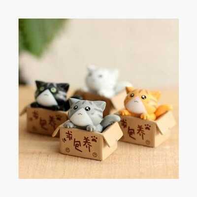 Miniature Cat in Box