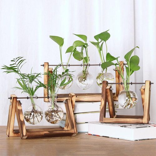 WOODEN STAND GLASS