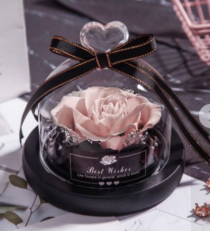 ROSE IN GLASS DOME