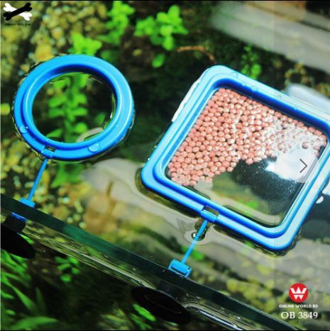 AQUARIUM FEEDING RING