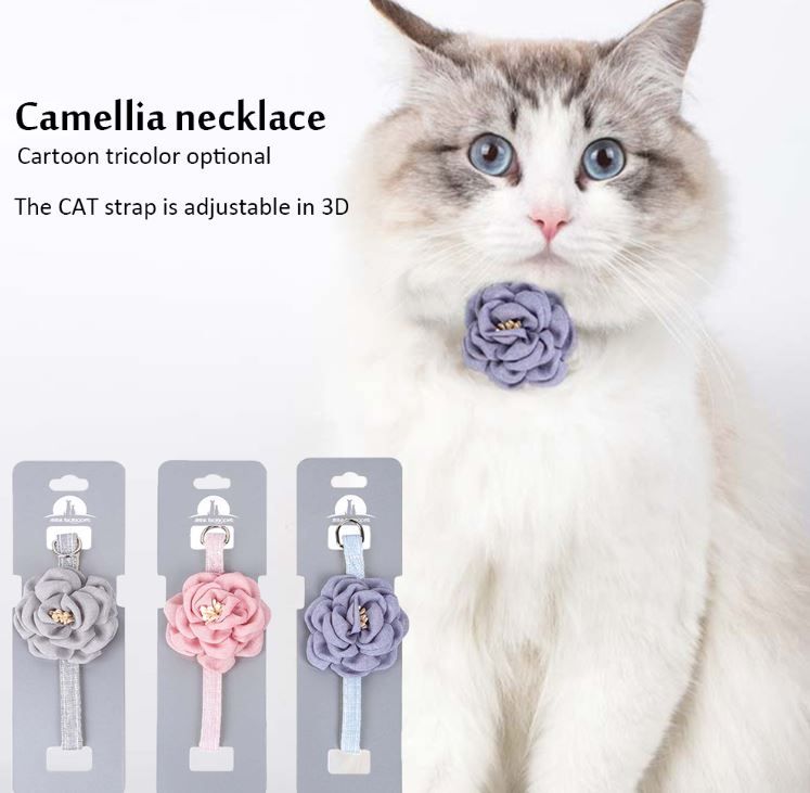 Pet Collar