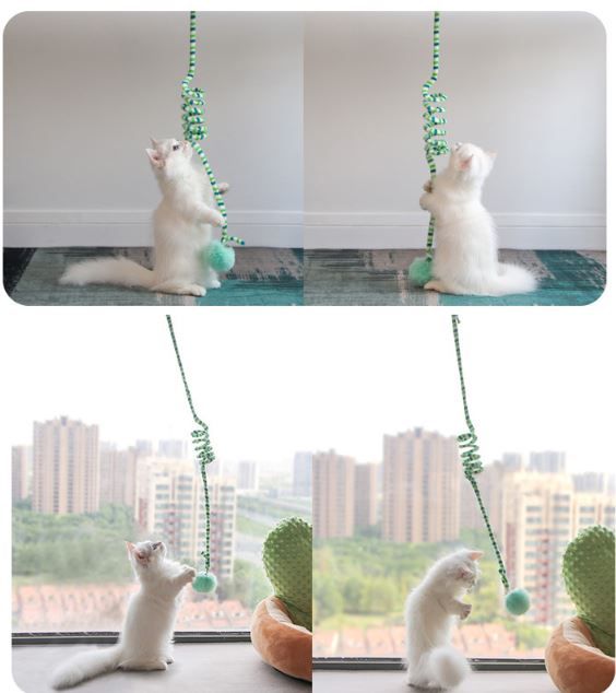 Interactive Cat Hanging Toy