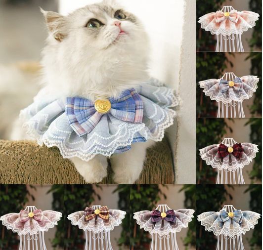 Cat Collar