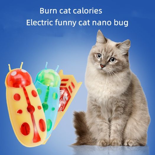 Mini Electric Bug Cat Toy