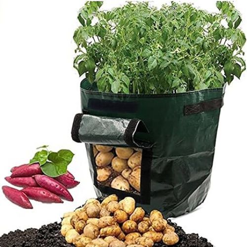 VEGETABLE/PLANT GROW BAG
