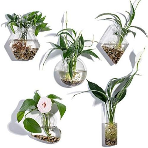 HANGING GLASS VASE