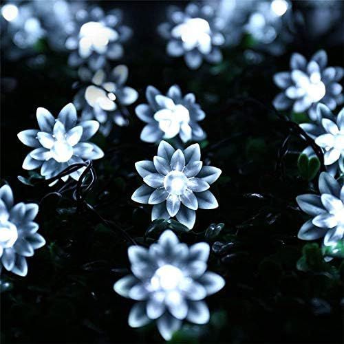 LED Light