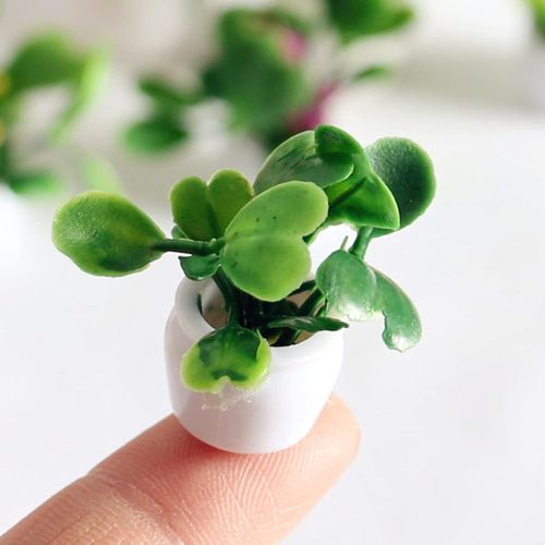 wishlist