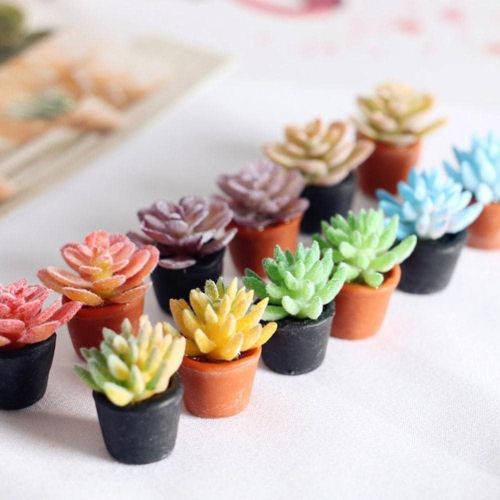 MINIATURE PLANTS VASE
