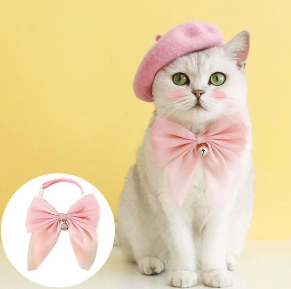 Cat Bell Collar
