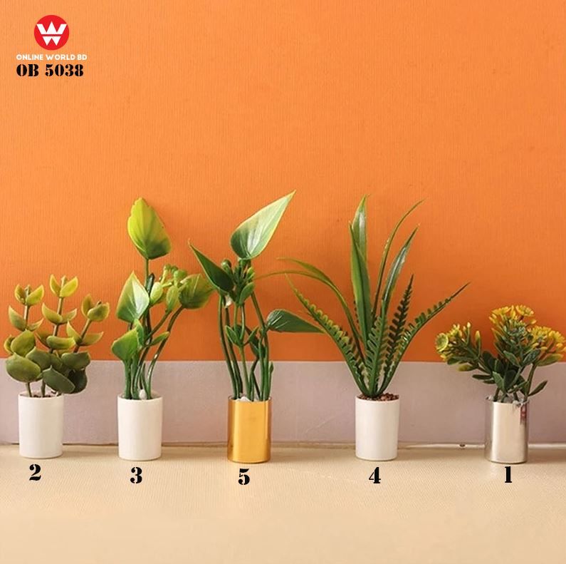 Miniature Potted Plant
