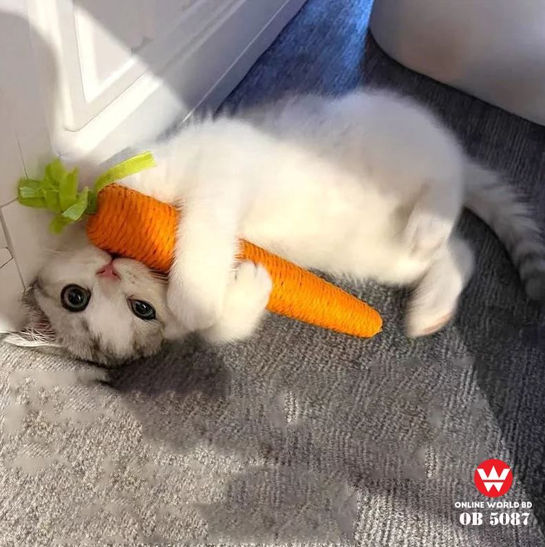 Pet Carrot Toy