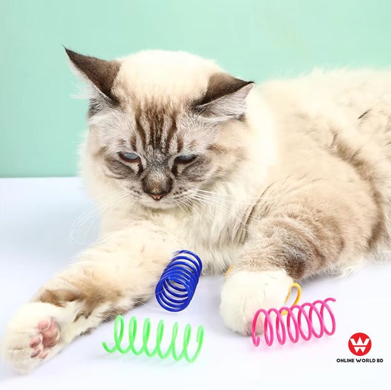Pet Spring Toy