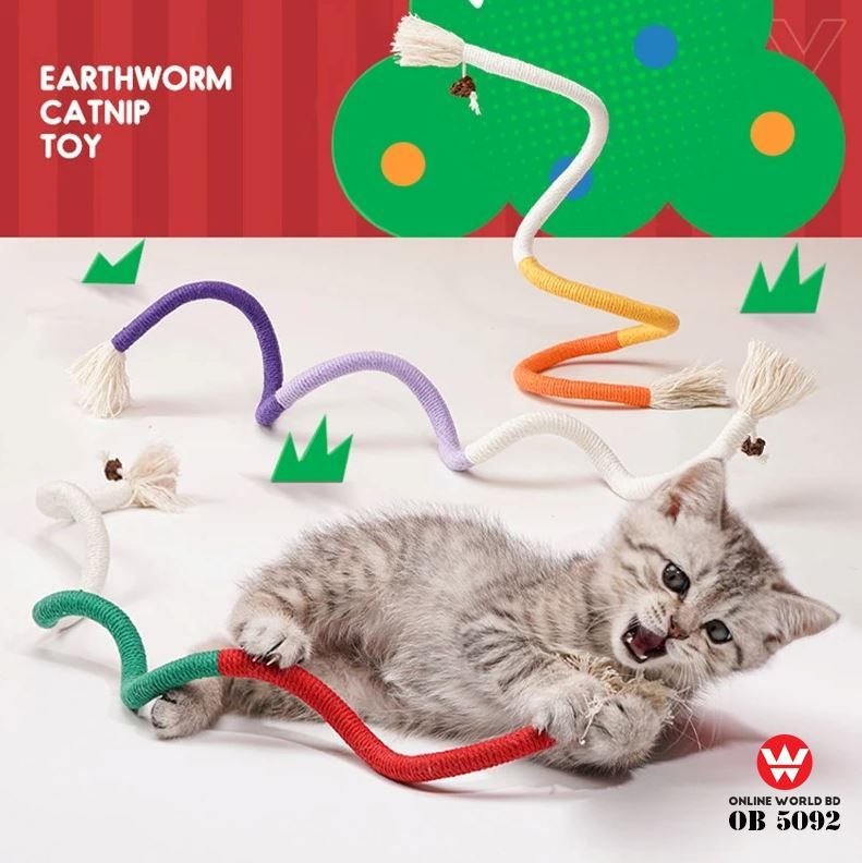 Cat Toy