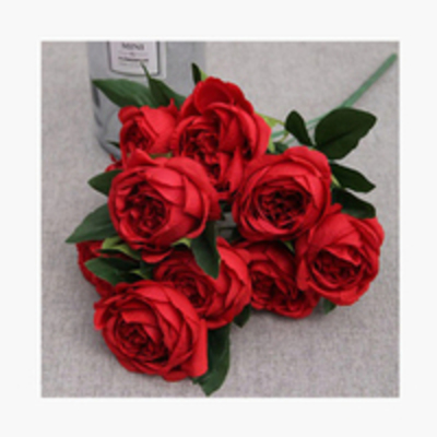 wishlist