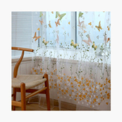 Transparent Curtain