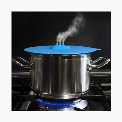 Cooker Lid