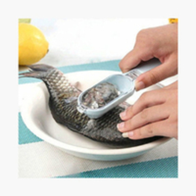 Fish Scale Scraper