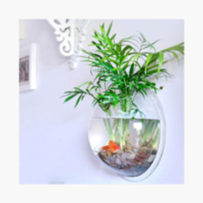 HANGING GLASS TANK