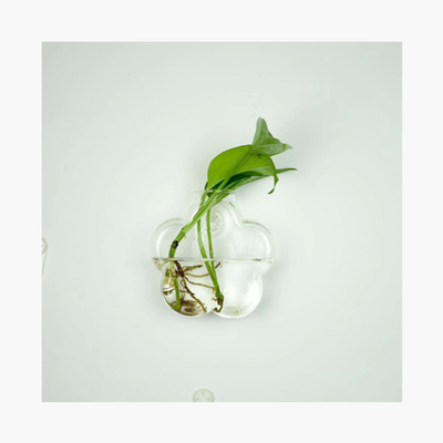 HANGING GLASS VASE