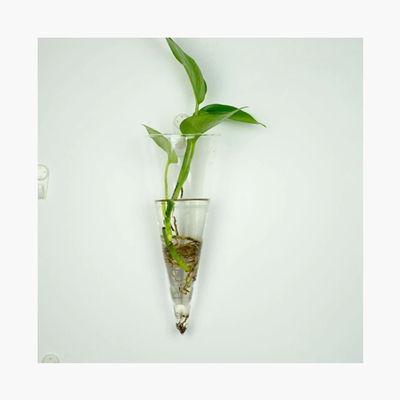 HANGING GLASS VASE