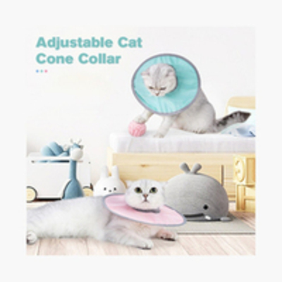 Cat Cone Collar