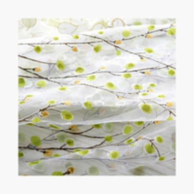 Transparent Curtain