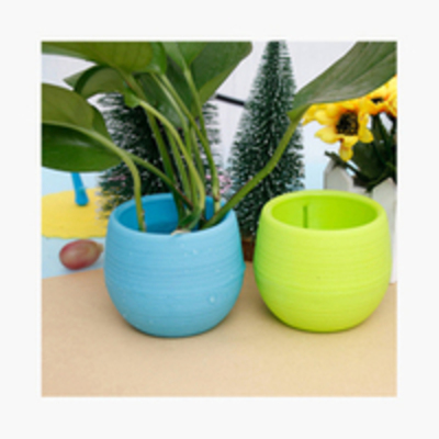 wishlist