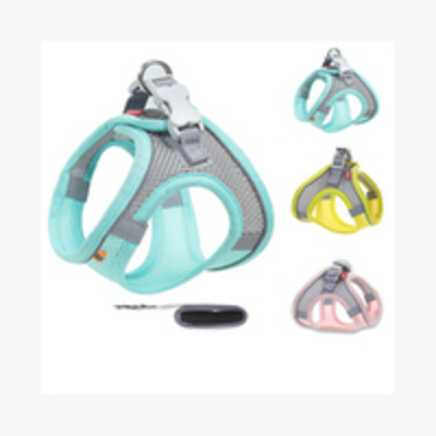 Pet Leash