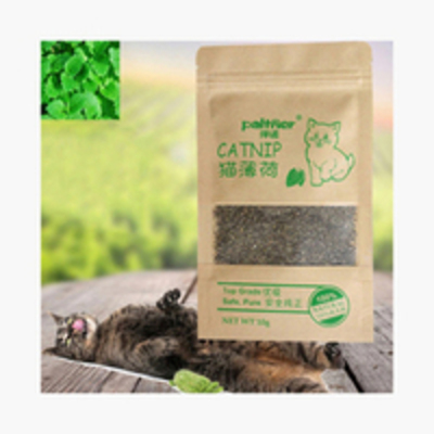 Catnip