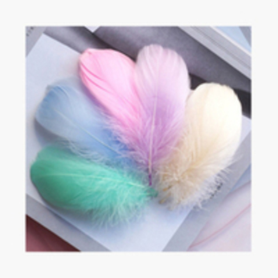 wishlist