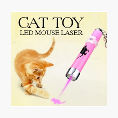 wishlist